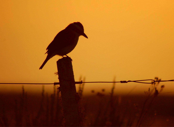 Torsion beam CNC drilling and milling machine